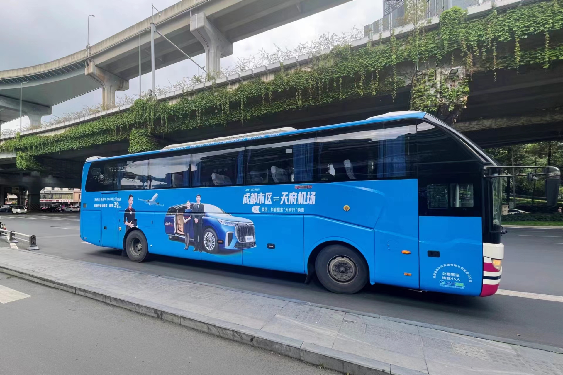 �츮����ר�������ڼ���������������ʢ�������˶������Ļ