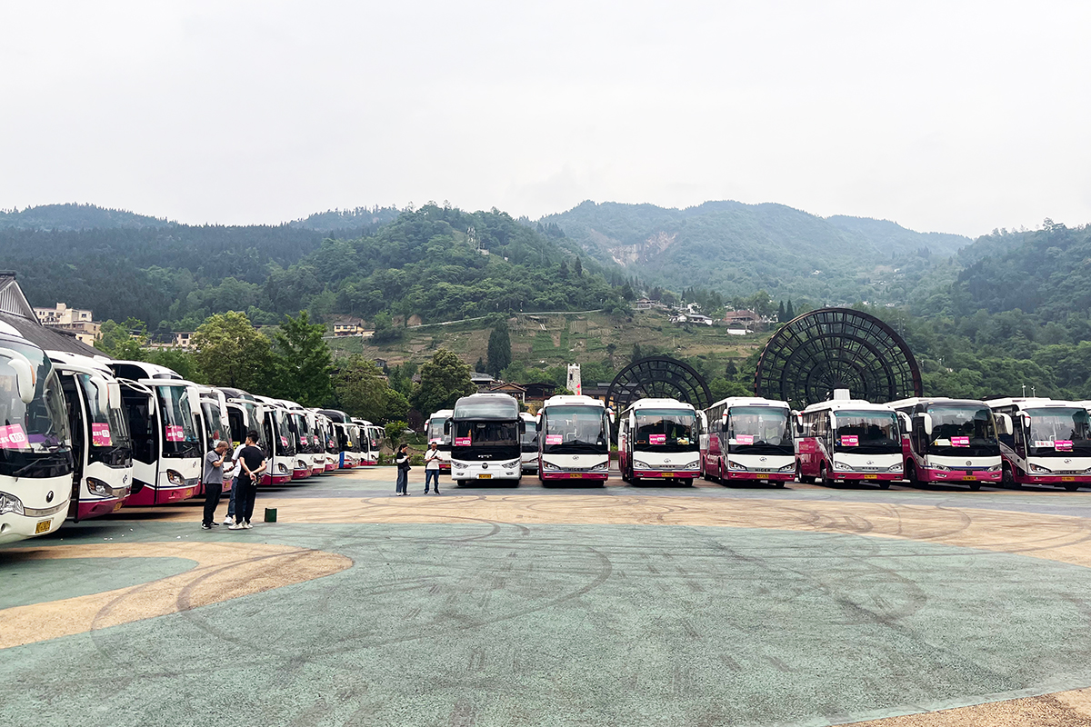 �����齫��������Բ�����2024�봨�������������ʹ��